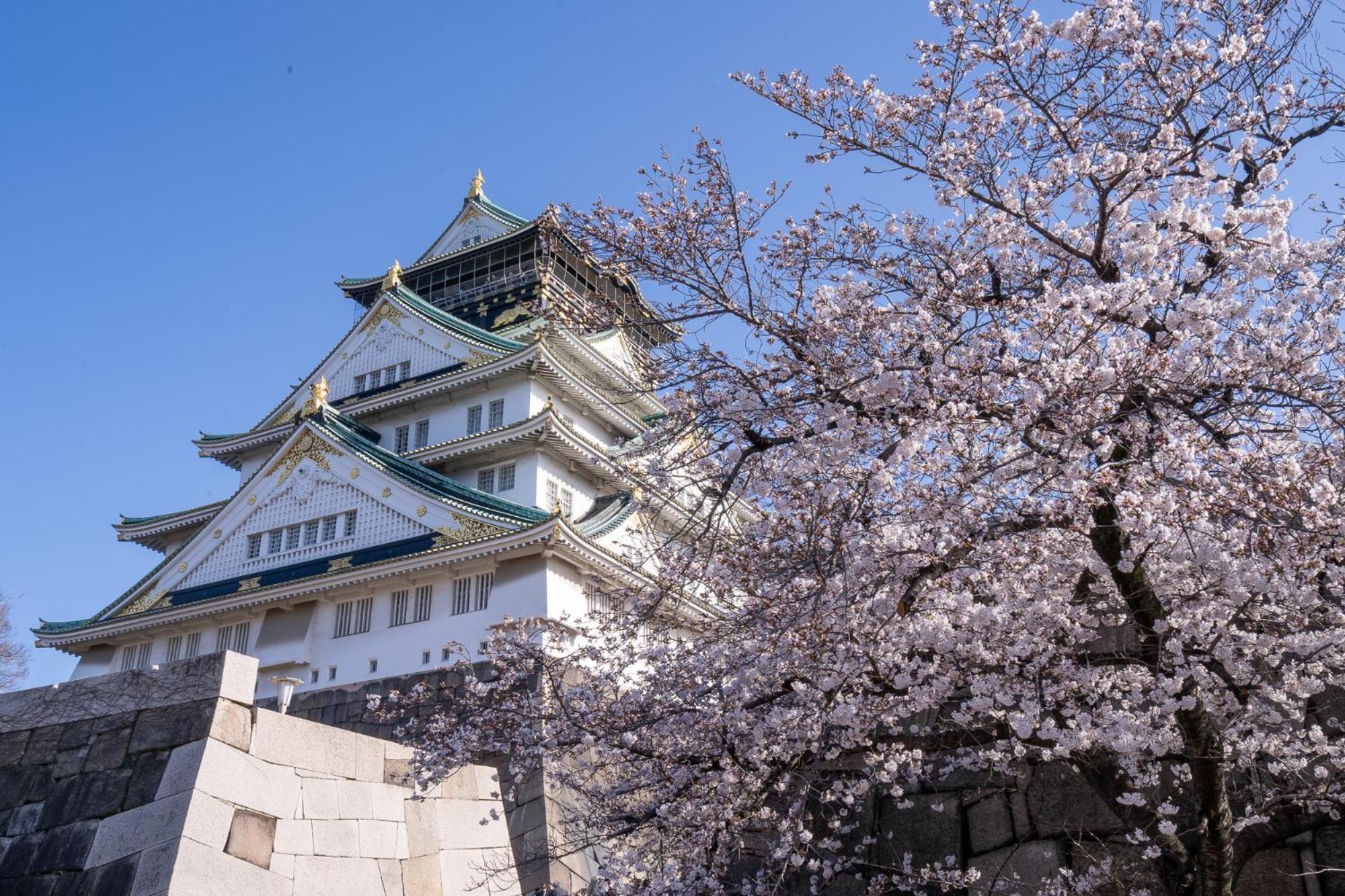Chikyuutabikazoku Usj *