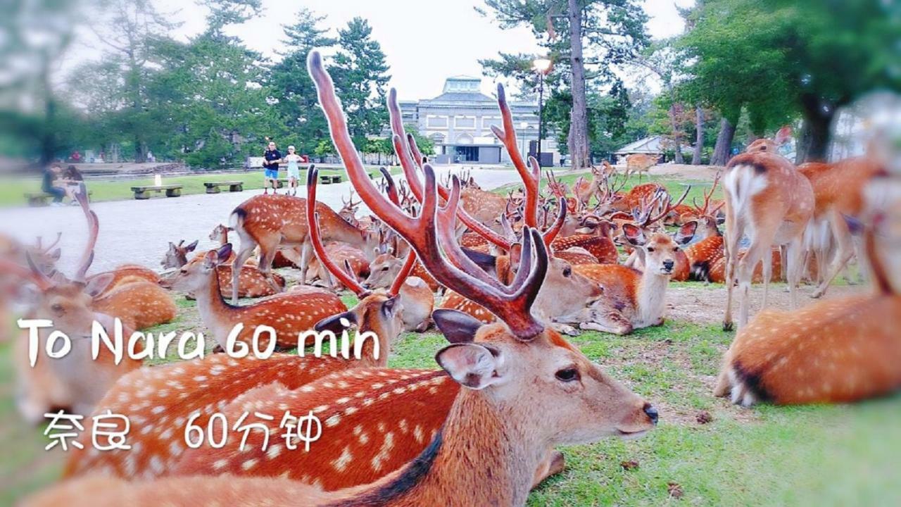 In Osaka