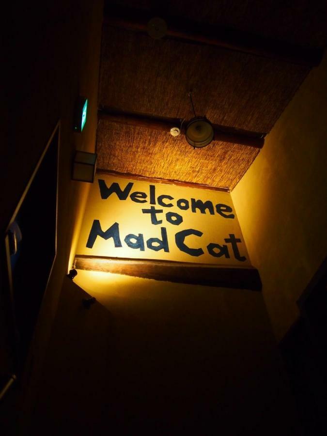 Mad Cat Osaka&bar Hostel Ōsaka