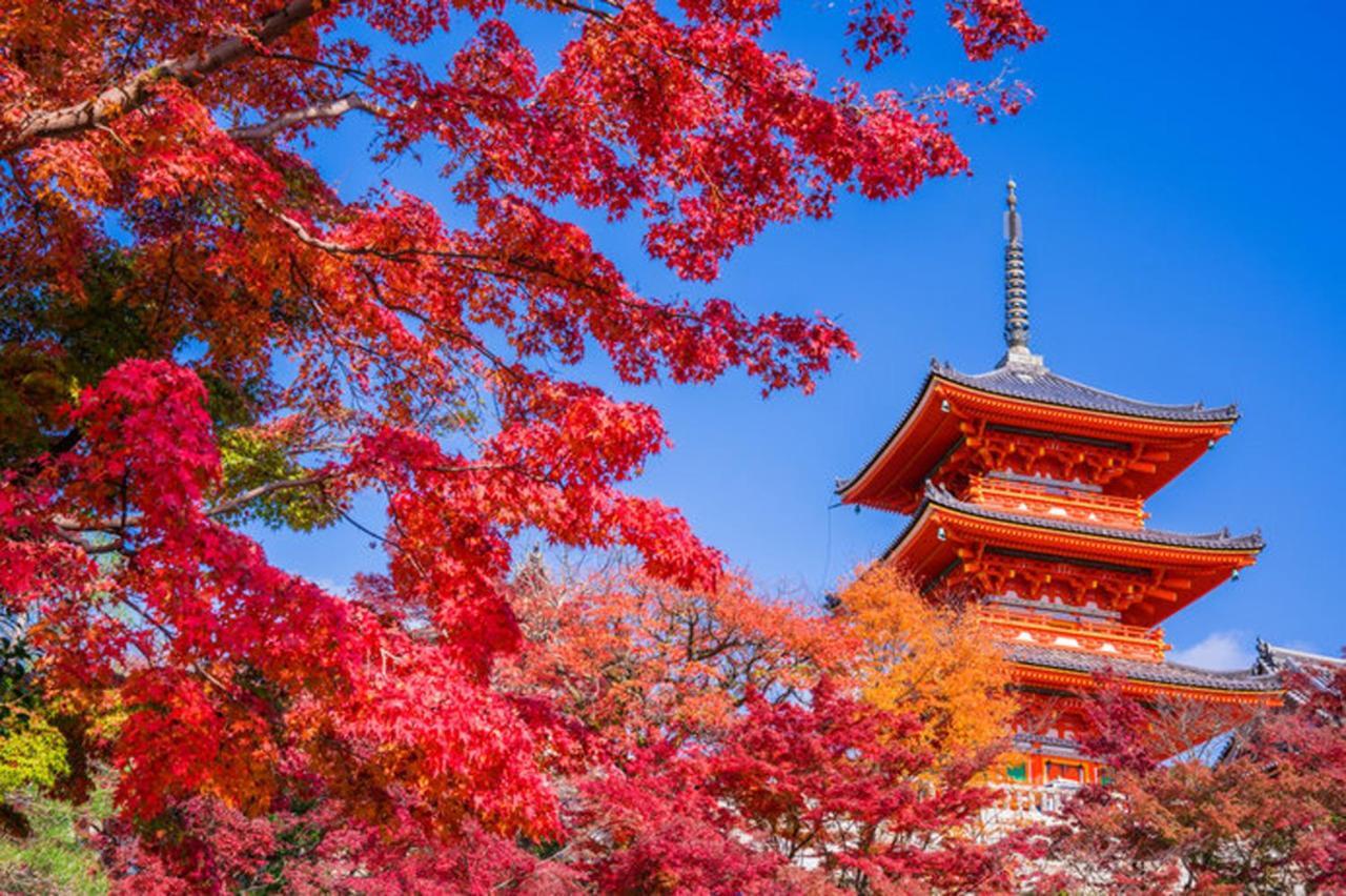 Sakura House Terrace: Convenient Dekijima Near Usj