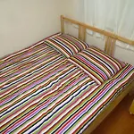 Rainbow House