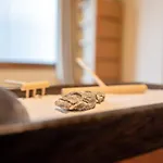 Yuyu House Kohama - Sunnydoll