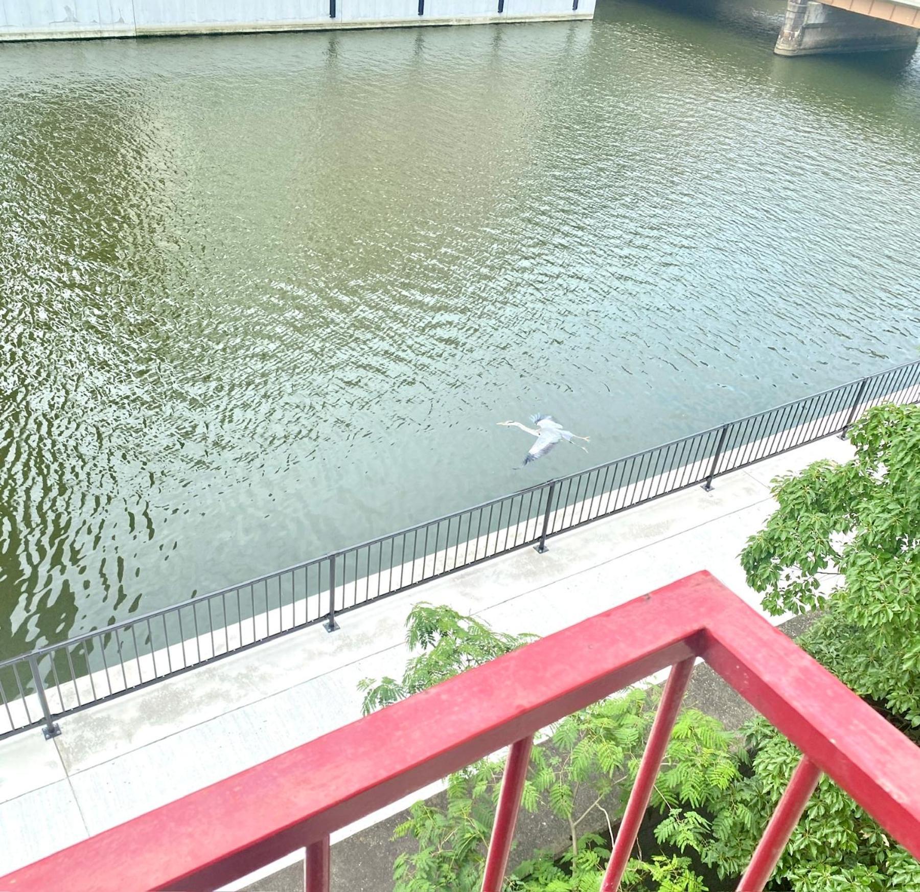 道頓堀リバーサイド・ステイ：難波駅近くの中心地 Apartment Osaka