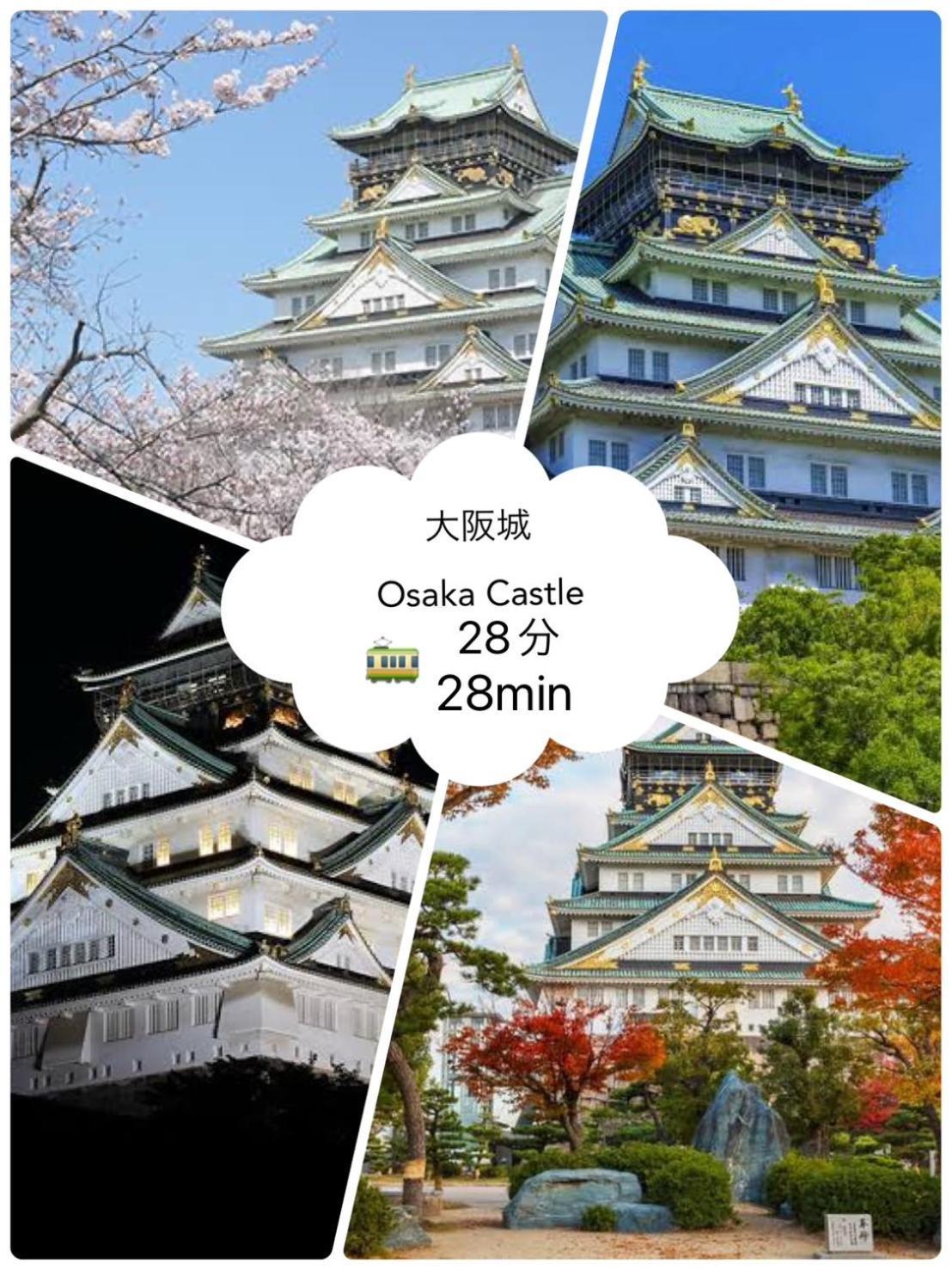 雅宿nf202 Osaka