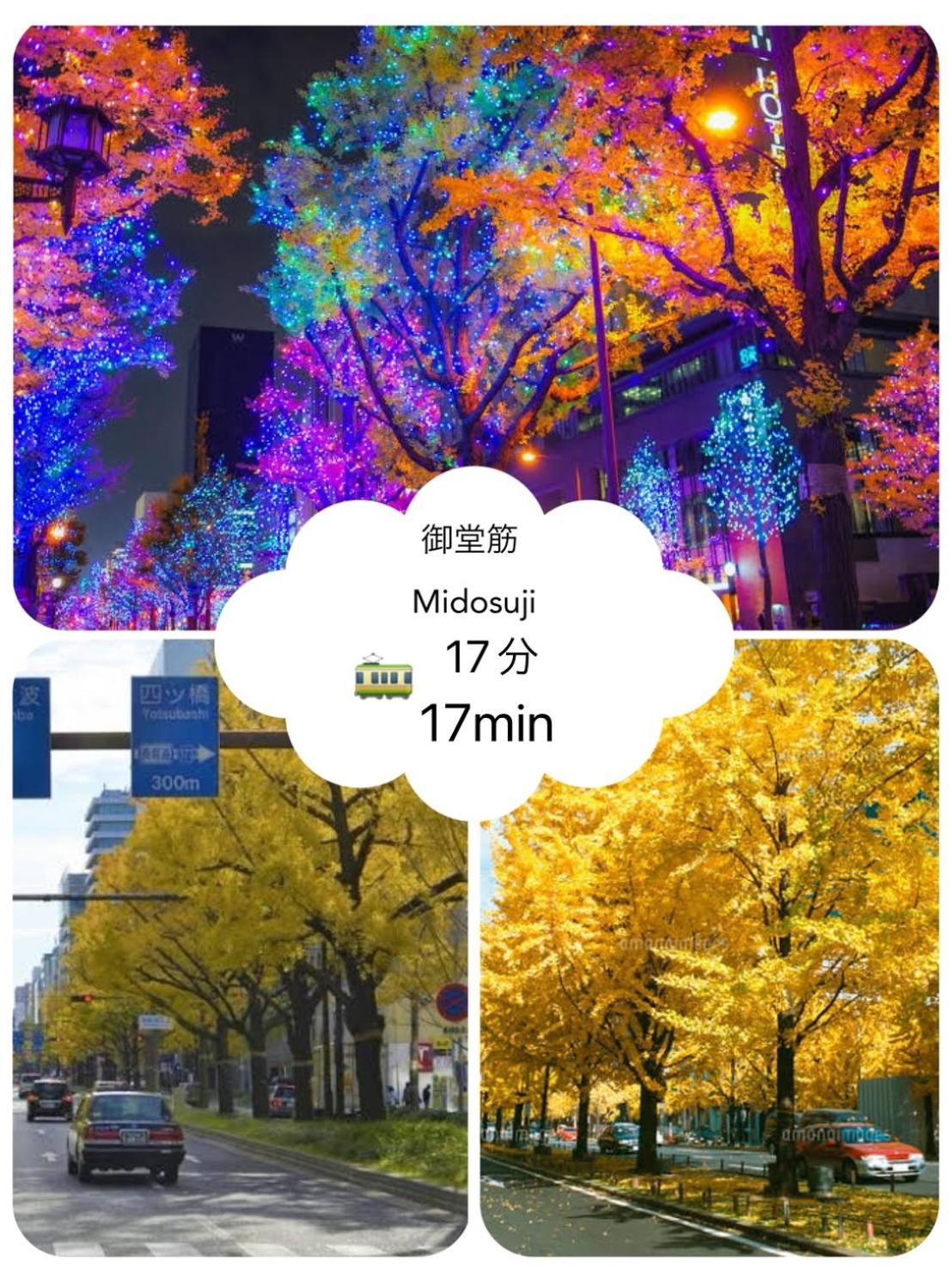 雅宿nf202 Apartment *