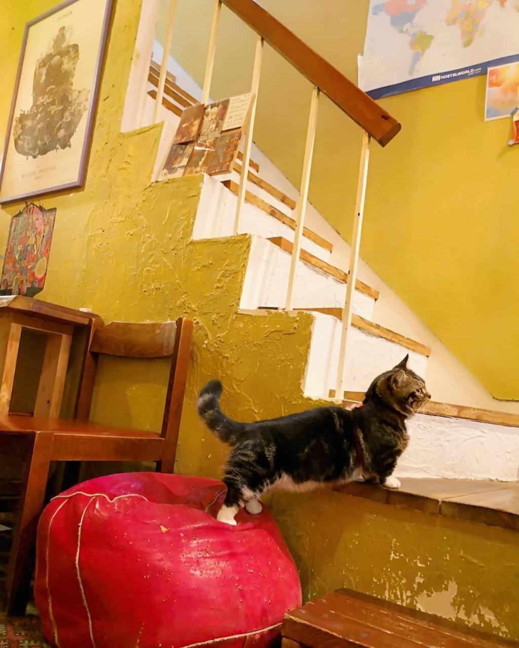 Guest house Tani9 Backpackers Osaka