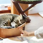 Cat Spa & Cat Ryokan By Neco Republic Osaka