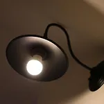 Sen
