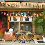 Mad Cat Hostel Osaka & Bar