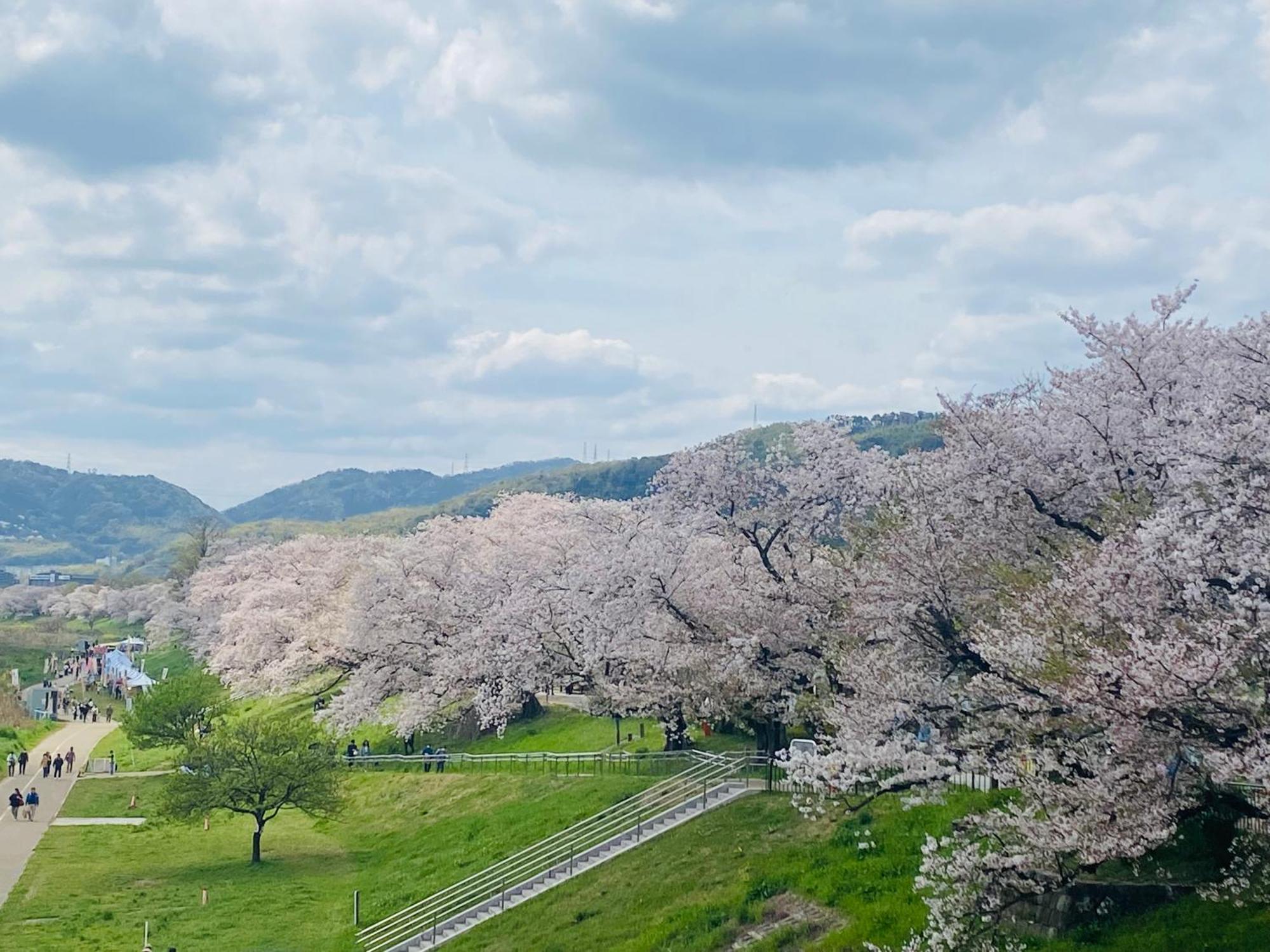 大阪民宿梅田淀川花a套 Osaka