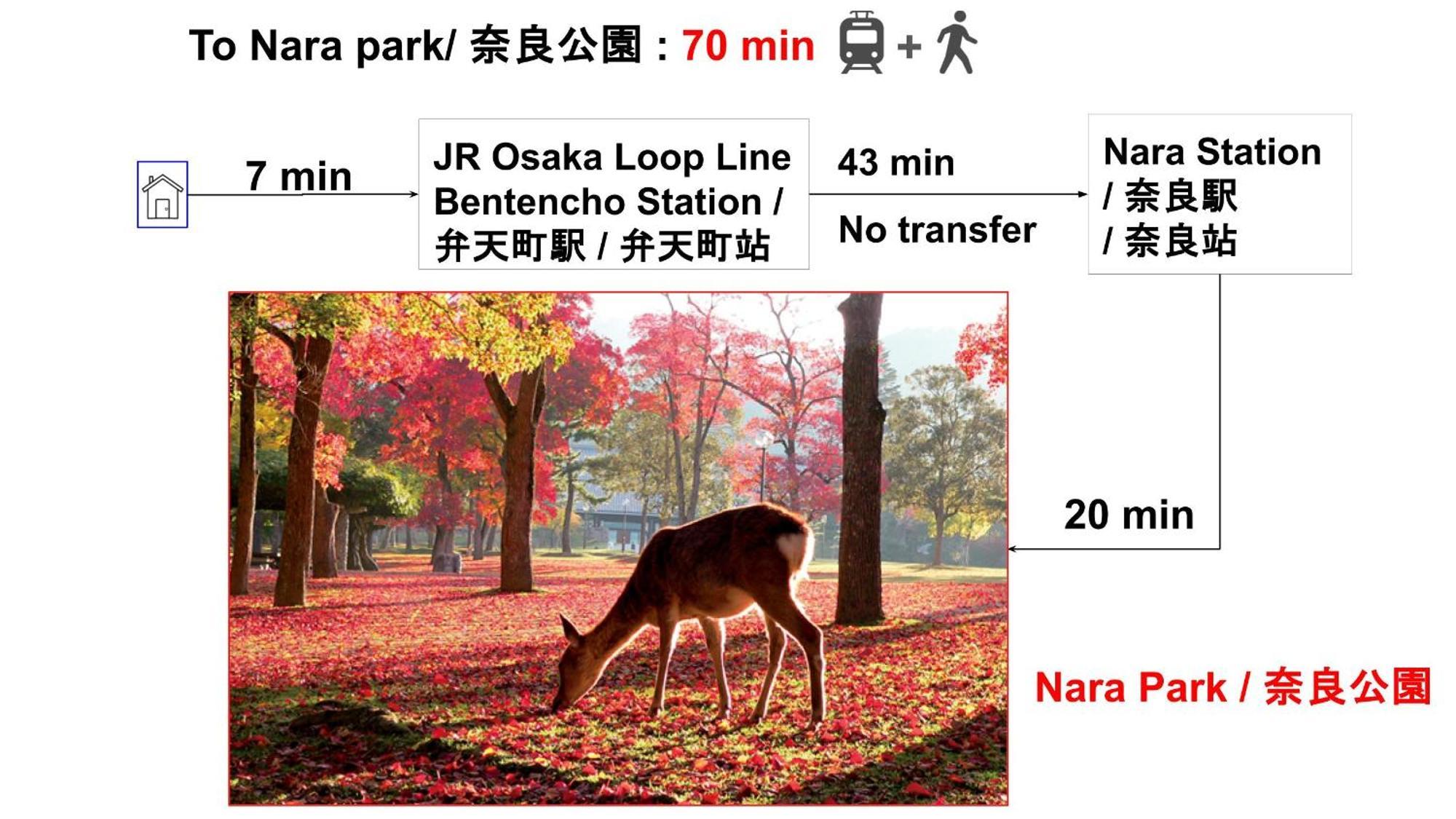 Umeda Central: Quick Access To Kita & Minami Districts * Osaka