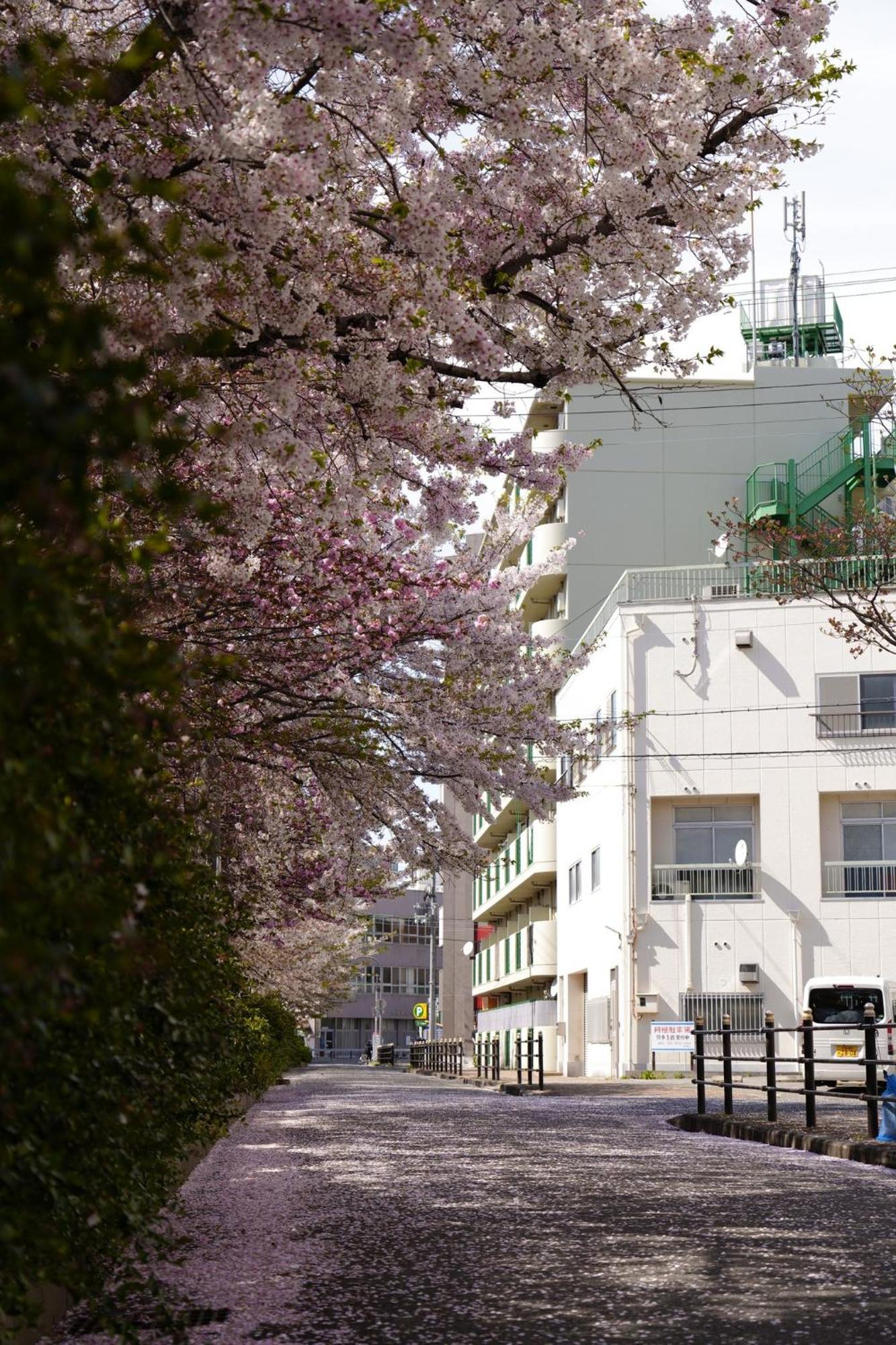 - House - Vacation 16453 Osaka