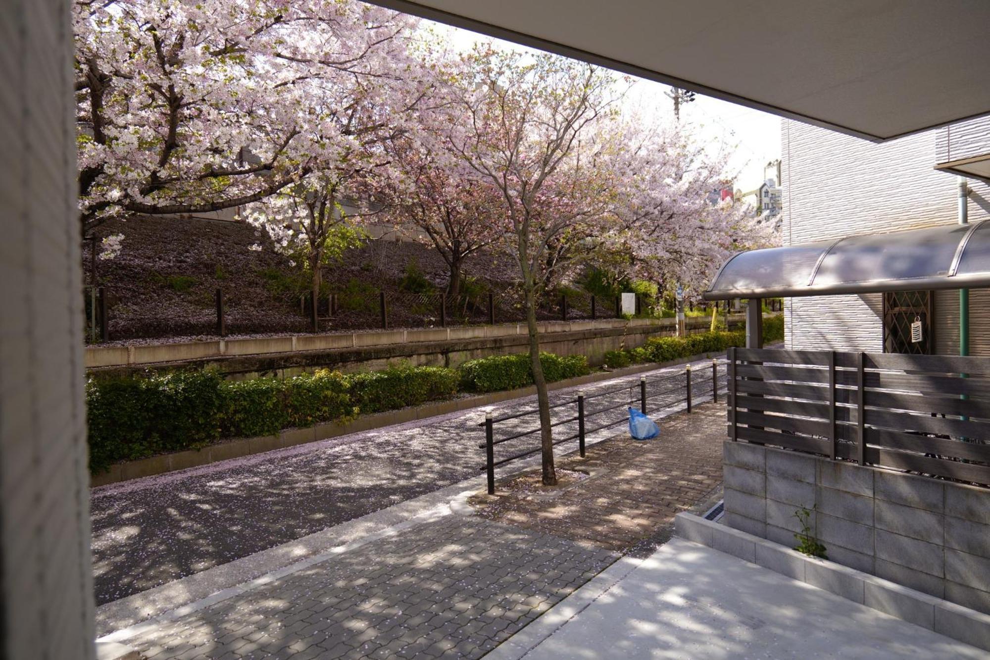 Holiday home - House - Vacation 16453 Osaka