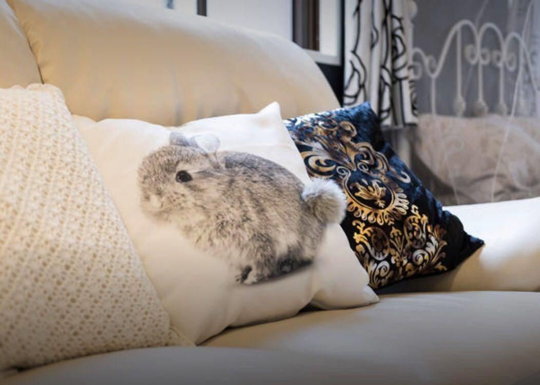 Luxury Near Downtown Osaka