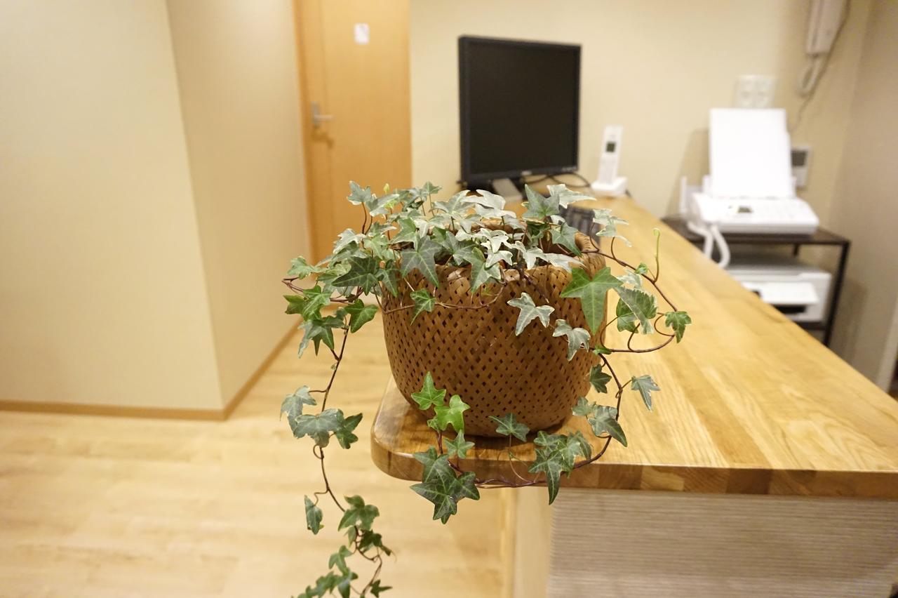 Rakutsuki Hostel *