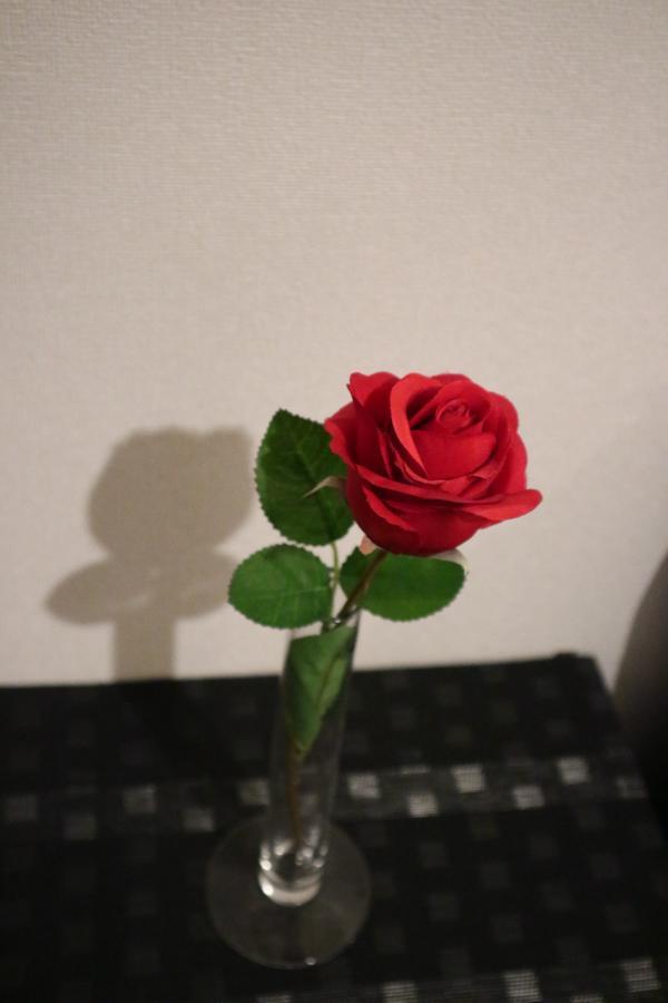 Apartment Exe Shinsaibashi East *