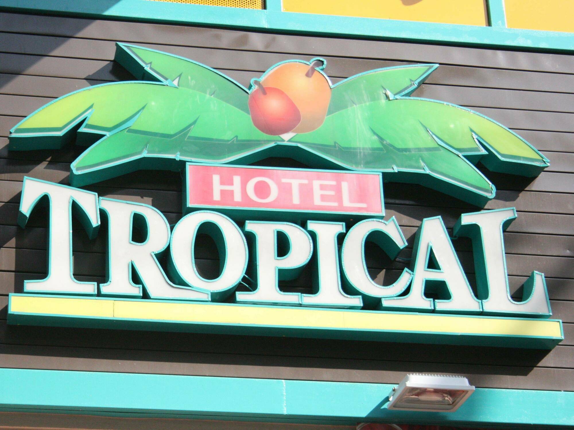 Tropical - Adults Only