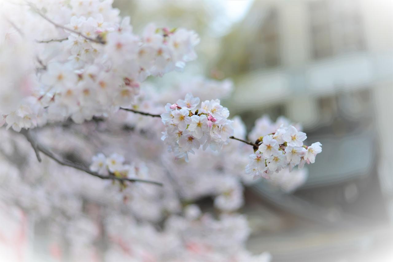 Hotel Plaza Umeshin Kitashinchi Osaka
